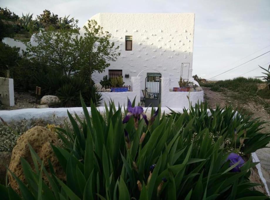 Cuevas Los Coloraos - La Residencia Villanueva de las Torres Экстерьер фото
